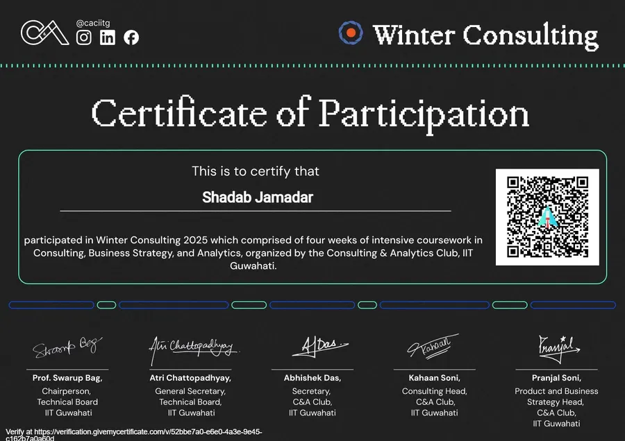 Winter Consulting Program preview